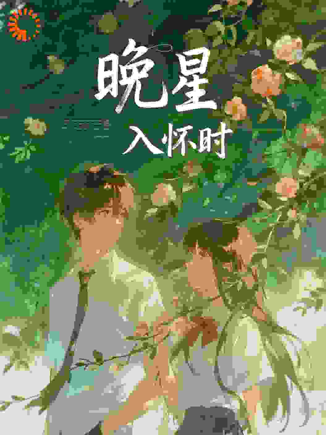 星星入怀时