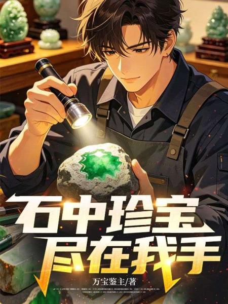 石中珍宝，尽在我手