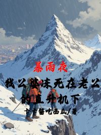 暴雨夜，我公婆冻死在老公的直升机下