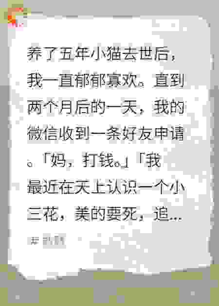 猫猫天使的守护之旅