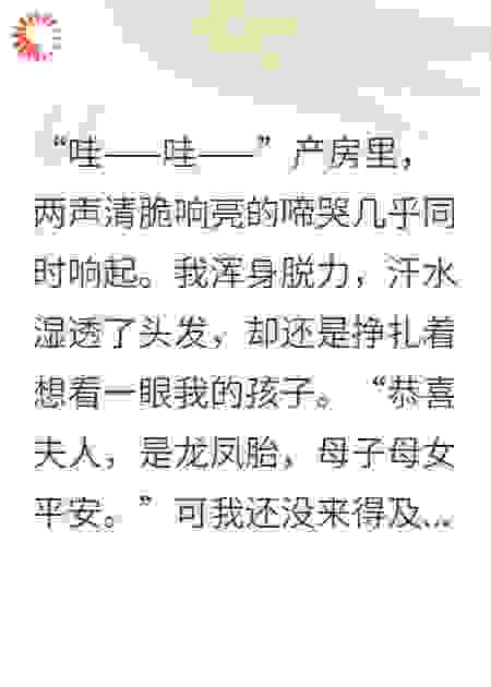 龙凤双宝天降，总裁夫君把我扔出墙