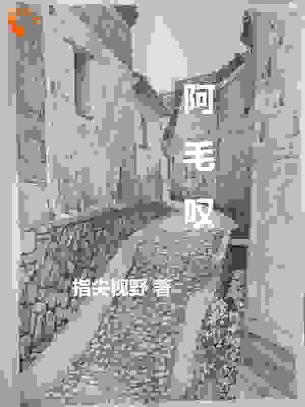 阿毛之叹