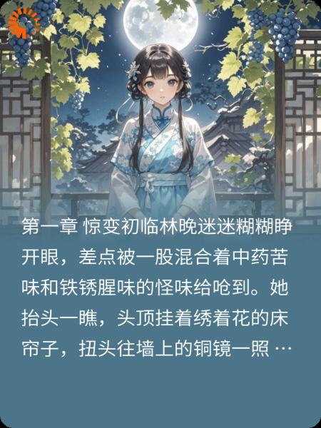医手乾坤：大唐风华
