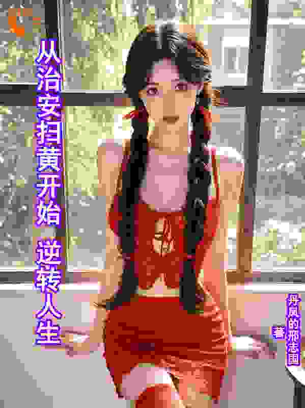 从治安扫黄开始-逆转人生