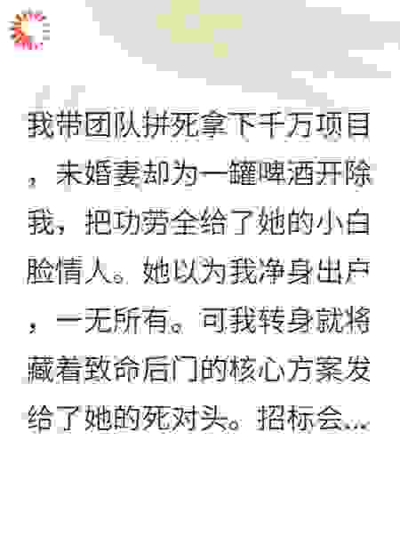 我带走核心项目，未婚妻傻眼了