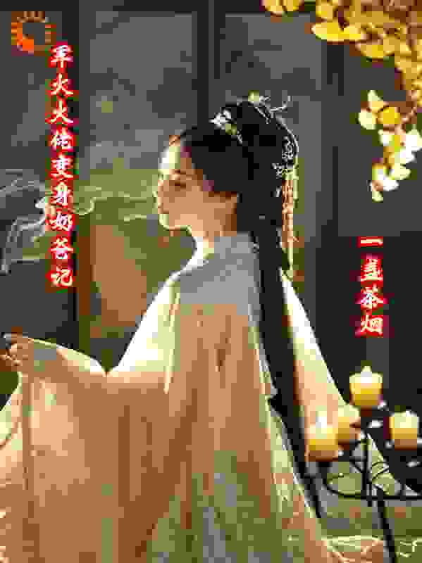 军火大佬变身奶爸记