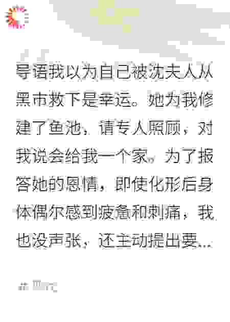 本想报答救命恩，结果反噬了恩人全家