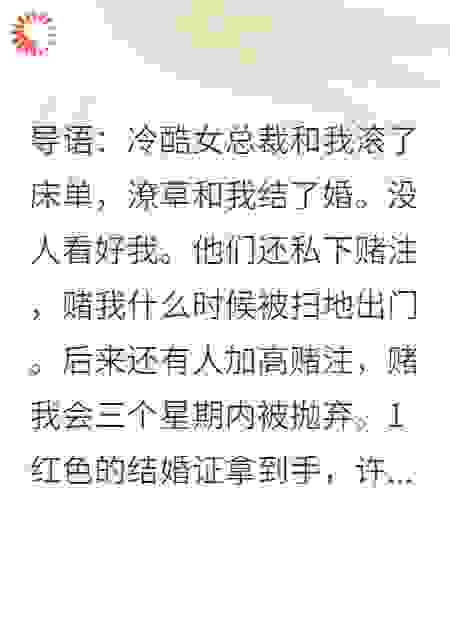 协议闪婚，冰山总裁竟赌我三周内出局