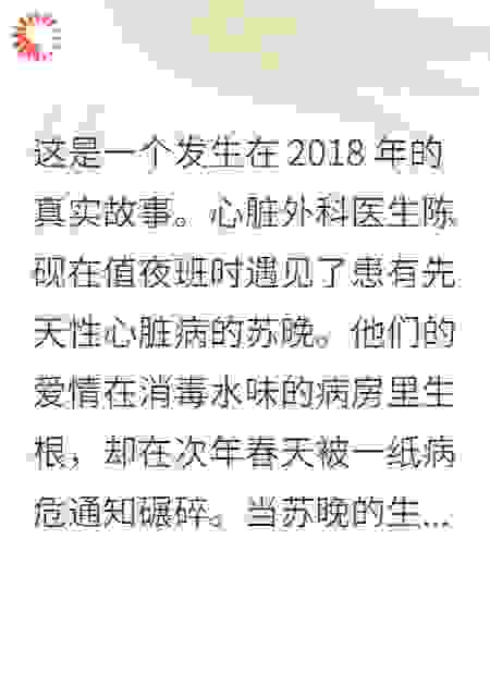 冬夜里的白玫瑰