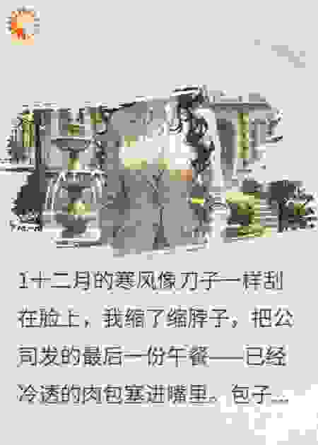 霸总给我日薪十万当助理