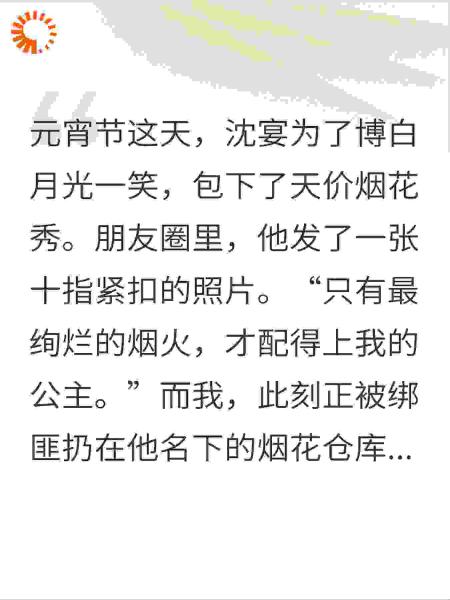 元宵节老公为白月光放烟花，我反手举报