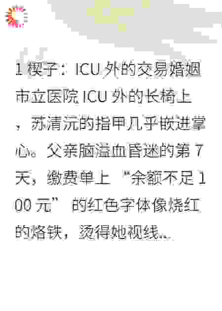 林砚辞，你藏了我整个青春