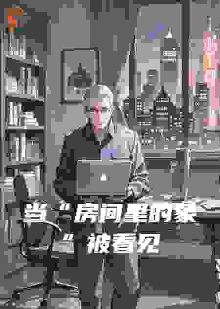 当“房间里的象”被看见