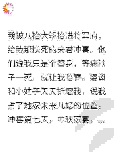 我被八抬大轿抬进将军府