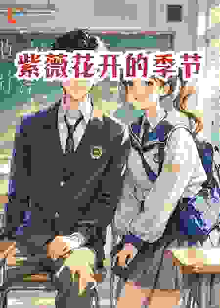 紫薇花开的季节