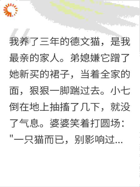 踹死我3万猫全家看笑话？我没闹，一月后弟媳崩溃了