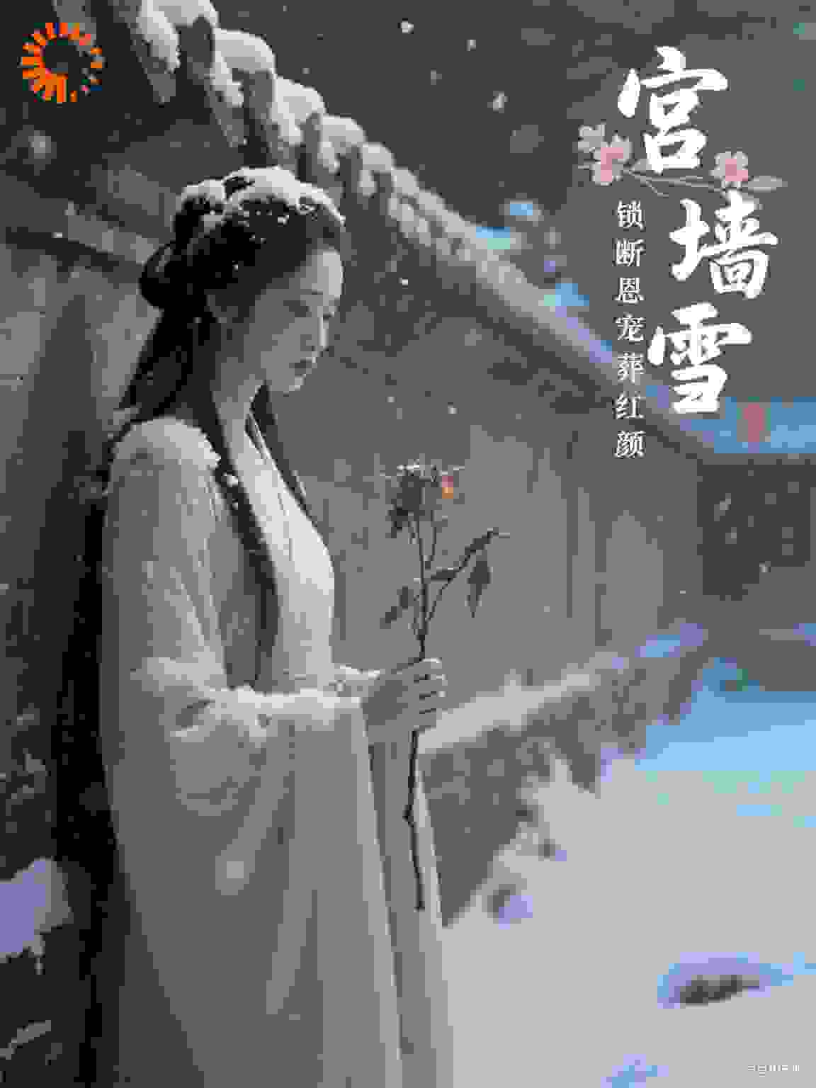 宫墙雪，锁断恩宠葬红颜