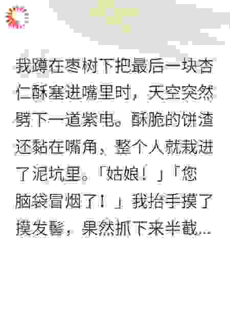 天雷定情。被劈后，我成了太子妃