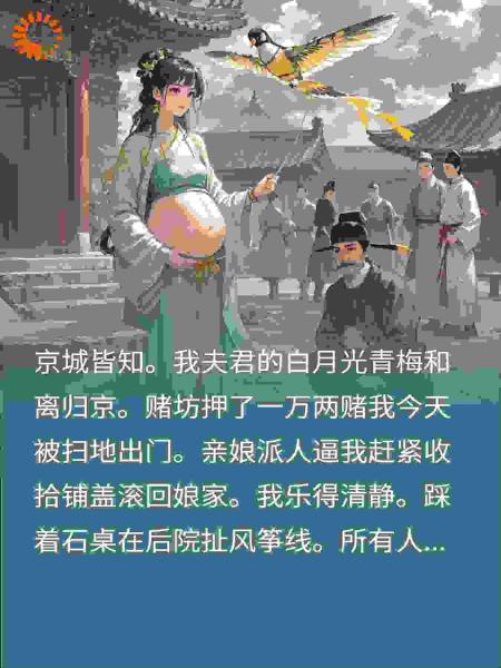 白月光归京我被休？我登高放风筝，首辅大人跪求我下来