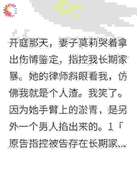 妻子法庭告我家暴，我放出她出轨录像