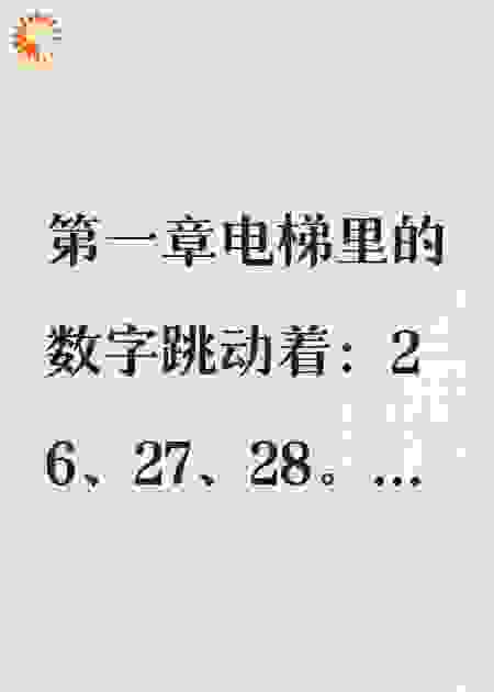 坠落后的复仇人生