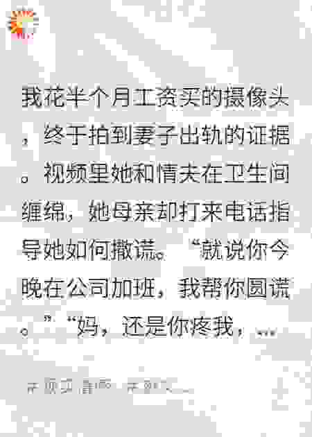 我装的摄像头，拍下岳母帮她圆谎